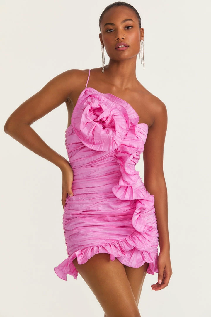 LSF Brenaya Mini Dress