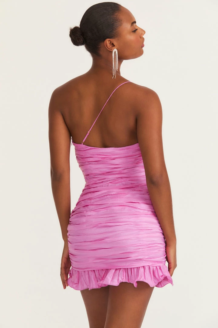 LSF Brenaya Mini Dress