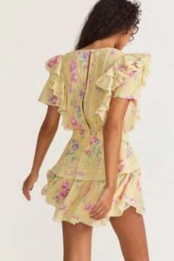 LSF Natasha Mini Dress