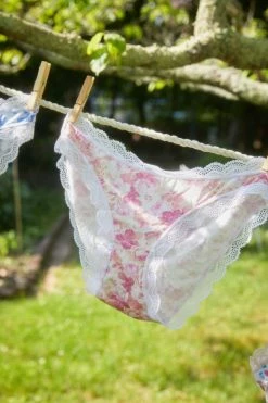 LSF Palm Beach Rose Knicker Box New Arrivals